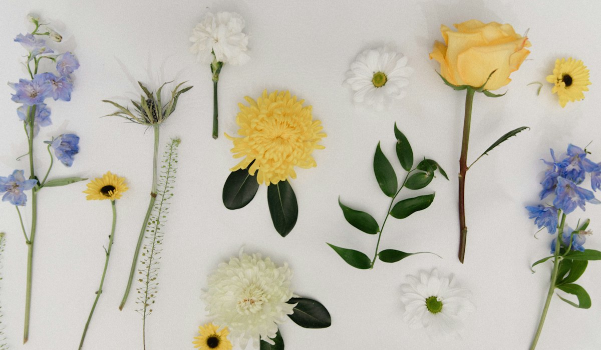 A flat lay of fresh botanical flowers